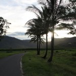 Between Cairns and Port Douglas